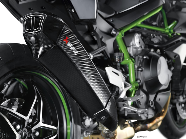 Akrapovič Carbon Rennauspuff (nur für die Rennstrecke)