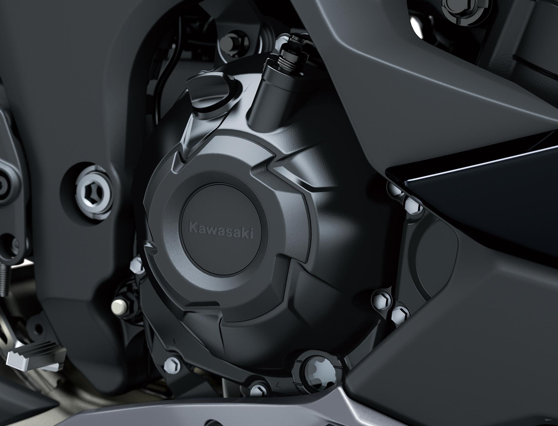 Kurbelgehäuse-Schutzringe (Ninja 1000SX)