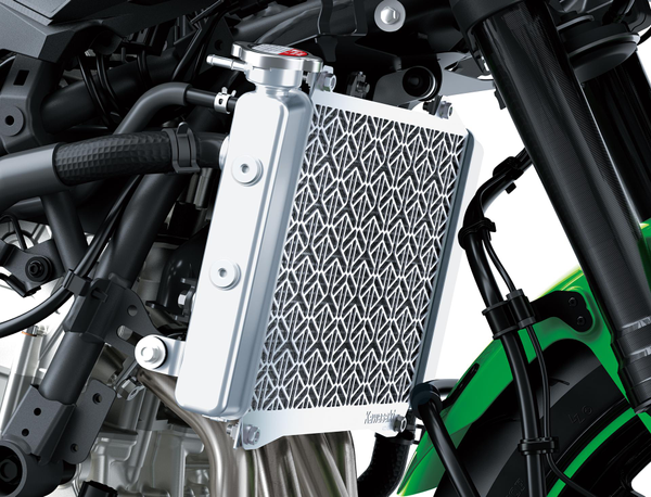 Kühlerabdeckung (Ninja ZX-4R/RR)