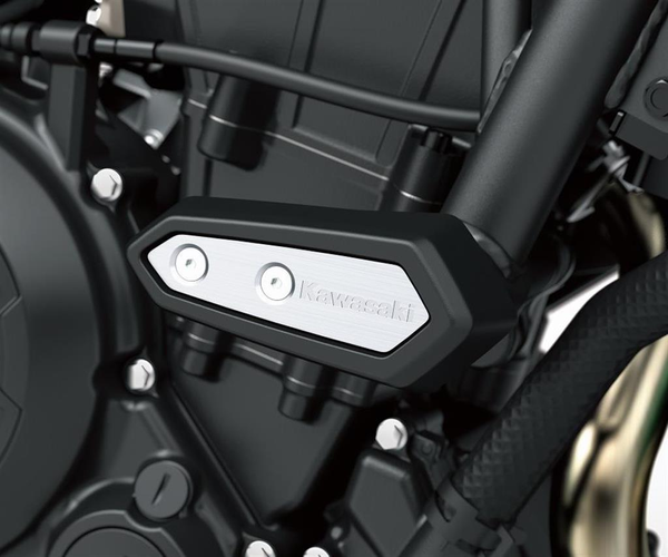 Sturzpads (Z650RS)