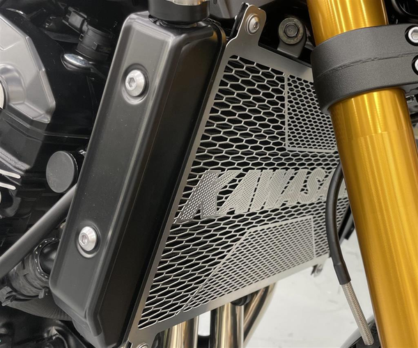 Kühlerabdeckung (Z900RS/SE)