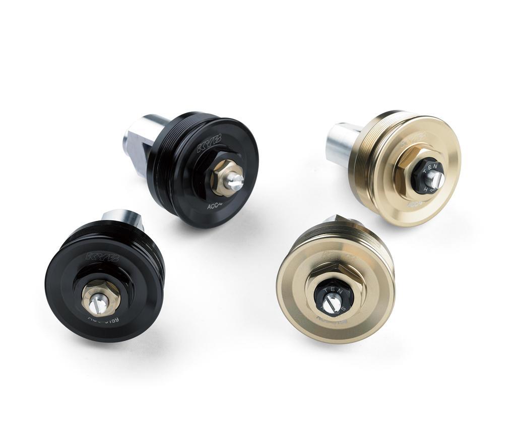 Gabelkappen-Set (Z900RS/SE)