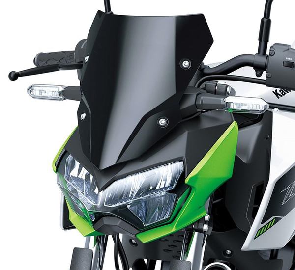 Große getönte Instrumentenabdeckung (Z e-1)