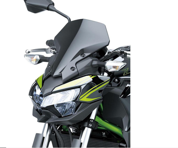 Große getönte Instrumentenabdeckung (Z650)