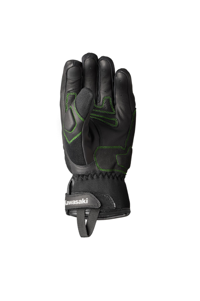 DIJON II Glove (Herren)