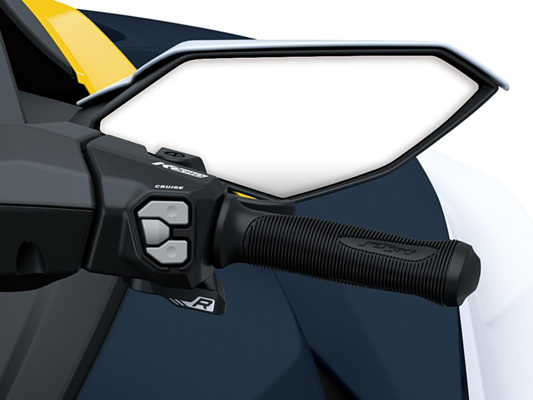 Einstellbare Electronic Cruise Control