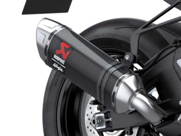 Akrapovič Carbon Sportauspuff (Ninja ZX-10R/RR)