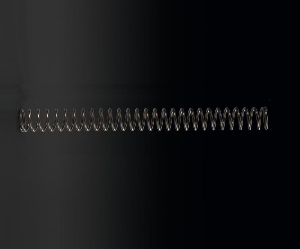 Front Fork Spring, K=5.0 N/mm (KX250/X)