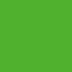 Lime Green (Grün) mit neuen Graphics im Werks-Design